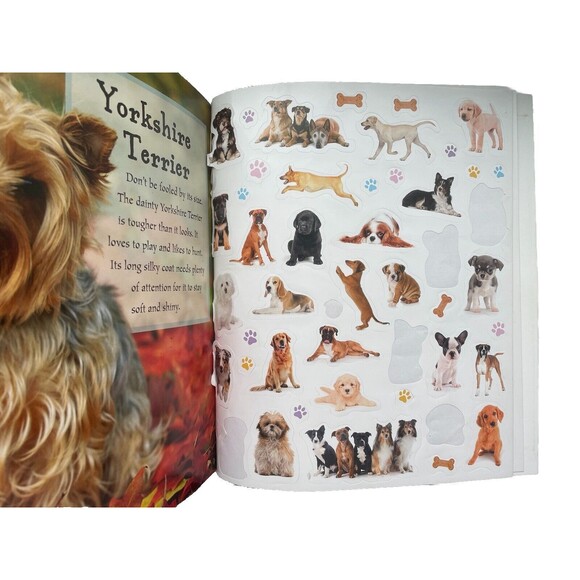 I Love Dogs & Puppies and My Perfect Puppy books, pre-loved - Picture 6 of 11